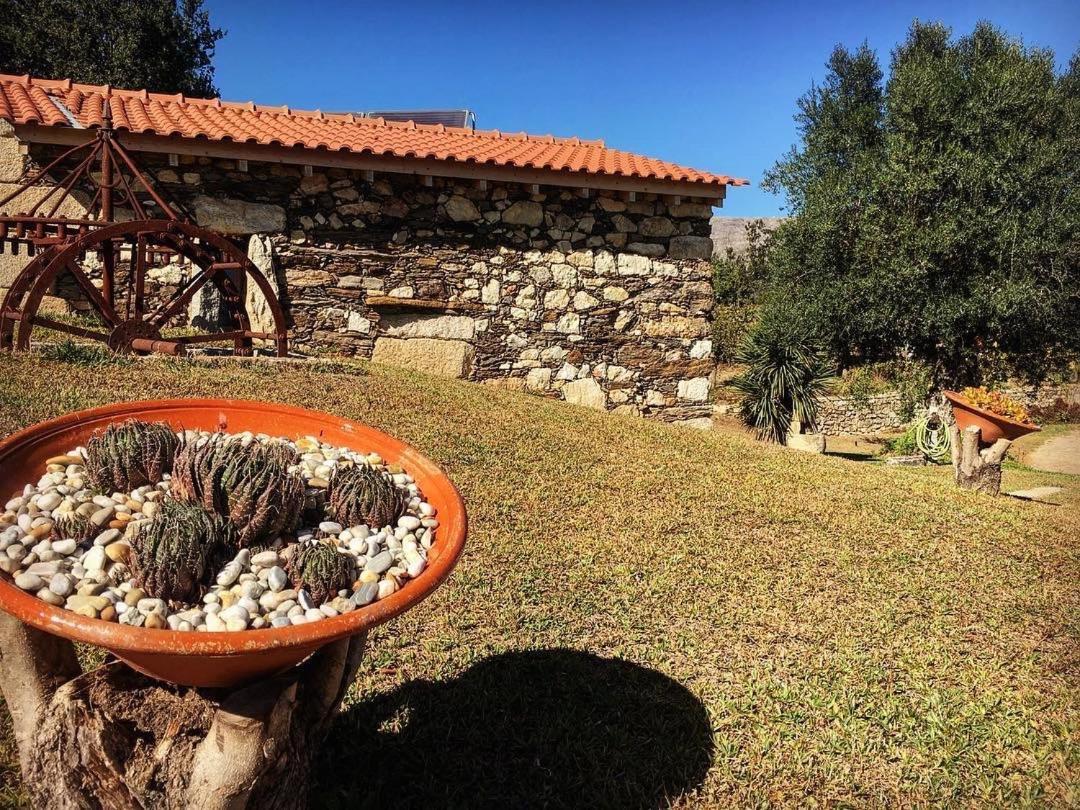 Quinta Do Fortunato Viana do Castelo Dış mekan fotoğraf